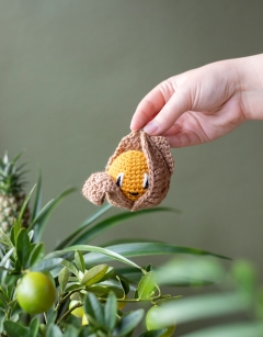 Physalis Jam Jar
