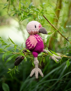 Aria the Pink-Headed Warbler