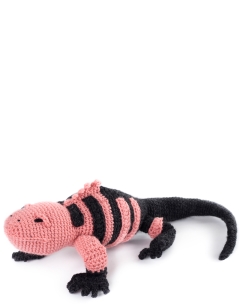 Fitzroy the Pink Land Iguana