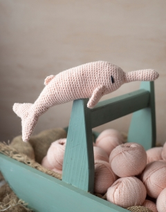 Cassian the Pink River Dolphin