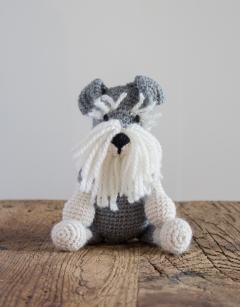 Romeo the Schnauzer
