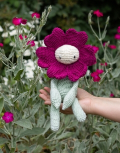 Rose Campion Kit