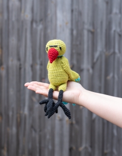 Remi the Rose-Ringed Parakeet