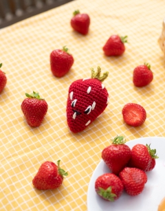Strawberry Jam Jar