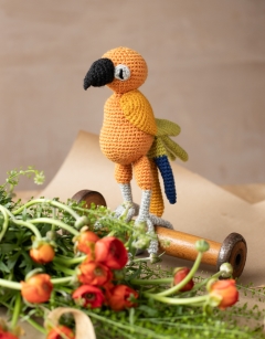 Miguel the Sun Conure