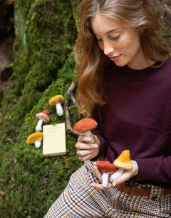 Toadstool Trio