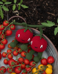 Summer-Autumn Veg Bundle