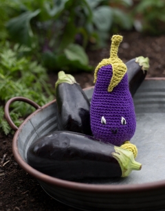 Baby Aubergine Kit