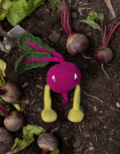 Beetroot Kit