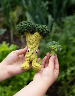 Broccoli Floret Kit