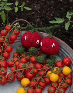 Cherry Tomatoes Kit