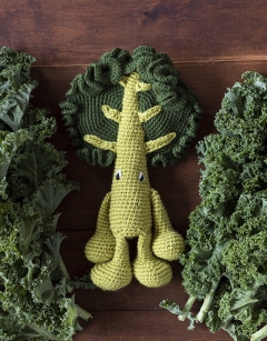 Curly Kale Kit