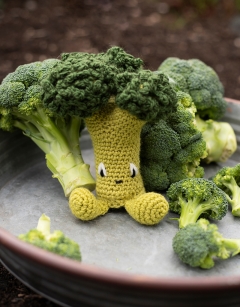 Broccoli Floret Kit