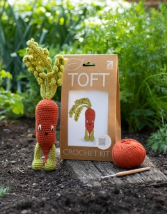 Chantenay Carrot Kit