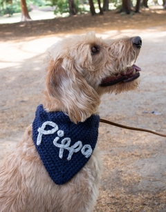 Pet Bandana