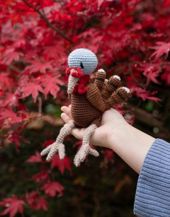 Ross the Turkey