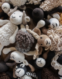 10 Animal Bundle 