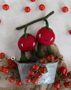 Cherry Tomatoes Kit
