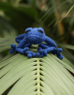 Juan and Emmanuel the Tree Frogs 