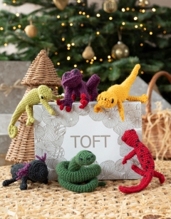 Vivarium Discovery Box