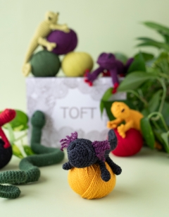 Vivarium Discovery Box