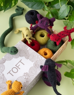 Vivarium Discovery Box