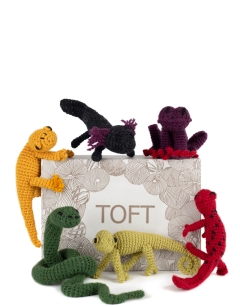 Vivarium Discovery Box