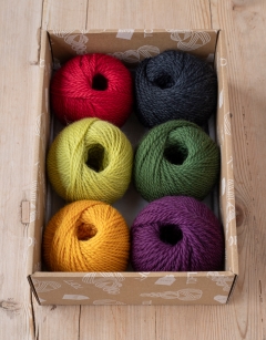 Vivarium Discovery Box