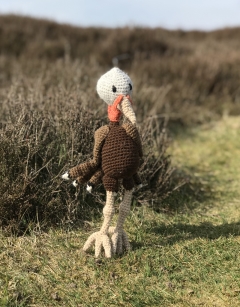 Ross the Turkey