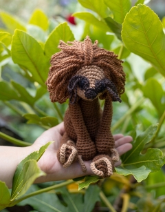 Natasha the Two-Toed Sloth