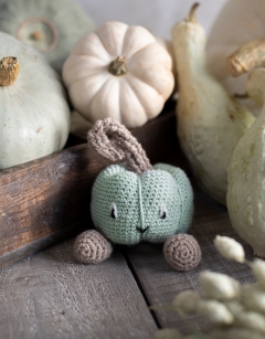 Munchkin Pumpkin Kit