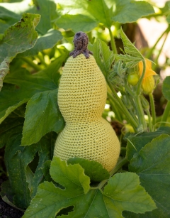 Bottle Gourd Kit