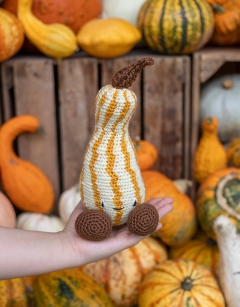 Striped Crookneck Gourd Kit