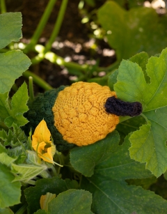 Tall Gourd Kit