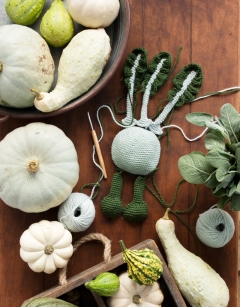 Kohlrabi Kit