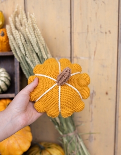 Patty Squash Kit