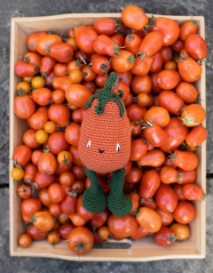 Green Plum Tomato Kit