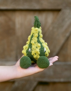 Striped Warty Gourd Kit