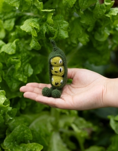 Micro-Green Vegetables Discovery Box