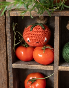 Cherry Tomatoes Kit