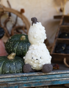 Warty Bottle Gourd Kit