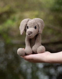 Maximilian the Weimaraner Kit