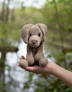 Maximilian the Weimaraner Kit