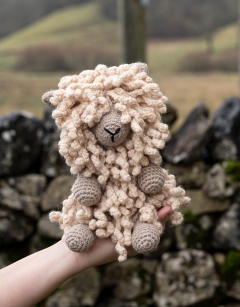 Seth the Wensleydale Sheep