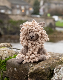 Seth the Wensleydale Sheep