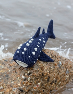 Bryony the Whale Shark