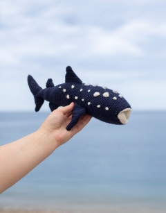 Bryony the Whale Shark