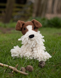 Brandon the Wire Fox Terrier