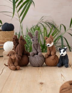 Woodland Discovery Box