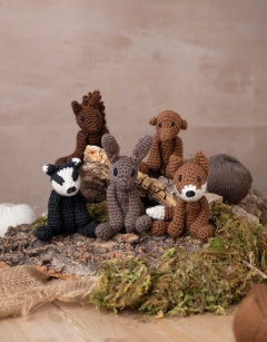 Woodland Discovery Box